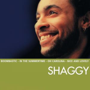 The Essential Shaggy