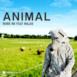 Animal (feat. Majid) - Single