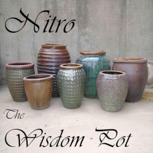 The Wisdom Pot - Single