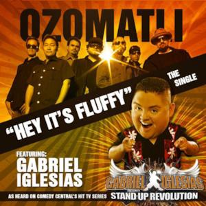 Hey It's Fluffy (feat. Gabriel Iglesias) - Single