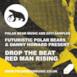Polar Bear Musis ADE 2011 Sampler - Single