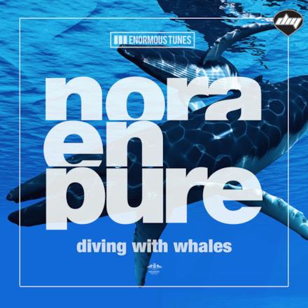 Diving With Whales - Single