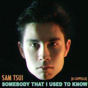 Somebody That I Used To Know (A Cappella) - Single