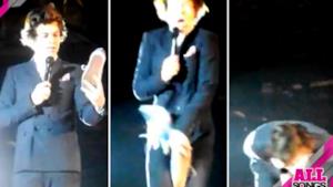 One Direction: Harry Styles cade sul palco colpito da una scarpa [FOTO e VIDEO]