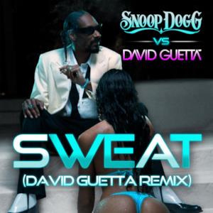 Sweat / Wet (Snoop Dogg vs. David Guetta) - Single