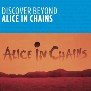 Discover Beyond: Alice In Chains