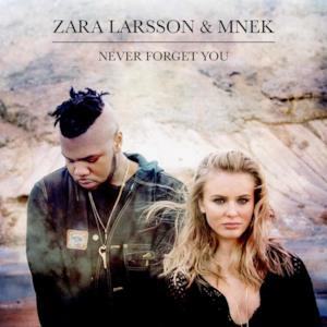 Never Forget You - Single