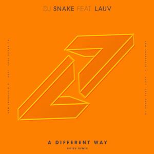 A Different Way (feat. Lauv) [Noizu Remix] - Single