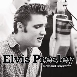 Elvis Presley Now and Forever Flashback 2013
