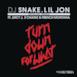 Turn Down for What (Remix) [feat. Juicy J, 2 Chainz & French Montana] - Single