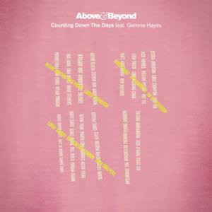 Counting Down the Days (feat. Gemma Hayes) [Radio Edit] - Single