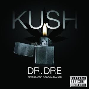 Kush (feat. Snoop Dogg & Akon) - Single