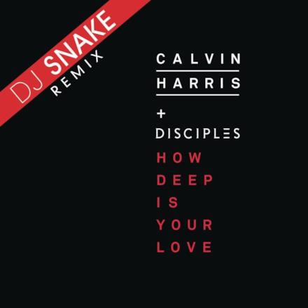 How Deep Is Your Love (DJ Snake Remix)
