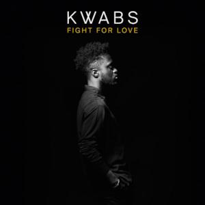 Fight for Love (Blonde Remix) [Radio Edit] - Single