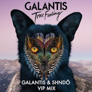 True Feeling (Galantis & shndō VIP Mix) - Single