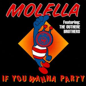 If You Wanna Party (feat. The Outhere Brothers)