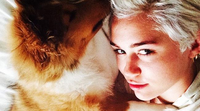 Miley Cyrus con il cane Emu