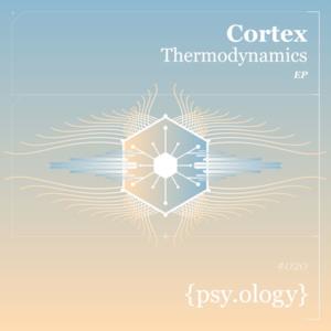 Thermodynamics - Single