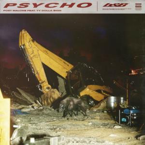 Psycho (feat. Ty Dolla $ign) - Single