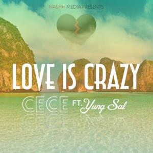 Love Is Crazy (feat. YungSal) - Single