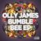 Bumblebee - EP