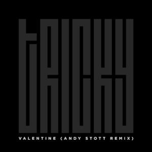 Valentine (Andy Stott Remix) - Single