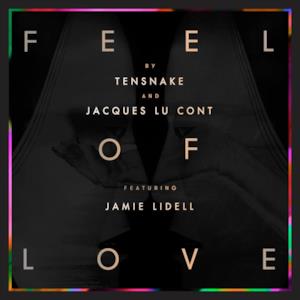 Feel of Love (feat. Jamie Lidell) - EP