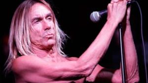 Iggy Pop