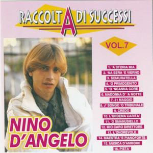 Raccolta di successi, vol. 7 (The Best of Nino D'Angelo Collection)