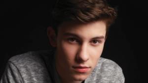 Shawm Mendes - Handwritten Revisited