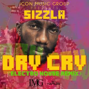 Dry Cry (Electro House Remix) [feat. ICON] - Single