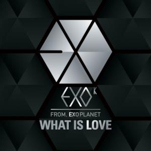 What Is Love (Korea Version) - Single