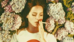 Lana Del Rey, su Instagram lo snippet e il testo di Honeymoon