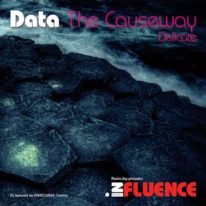 The Causeway / Delicate - Single