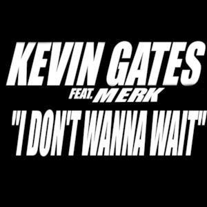 I Don't Wanna Wait (feat. Merk) - Single