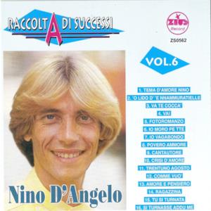 Raccolta di successi, vol. 6 (The Best of Nino D'Angelo Collection)