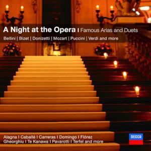 A Night at the Opera - Famous Arias and Duets