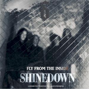 Fly from the Inside - Single