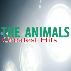 The Great Animals (Live)