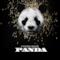 Panda - Single