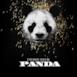 Panda - Single