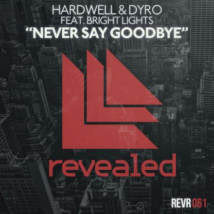 Never Say Goodbye (feat. Bright Lights) - Single