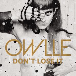 Don't Lose It (Radio Edit) - Single