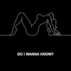 Do I Wanna Know? - Single