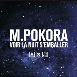 Voir la nuit s'emballer (Two French Guys Remix) - Single