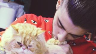 Zayn Malik con un gatto in braccio