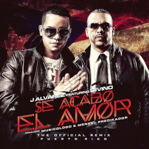 Se Acabo El Amor (Remix) [feat. Divino] - Single