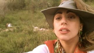 Lady Gaga: safari con leoni