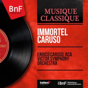 Immortel Caruso (Mono Version)