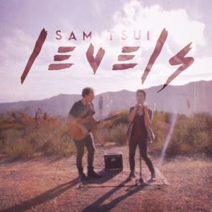 Levels (Acoustic Version) - Single